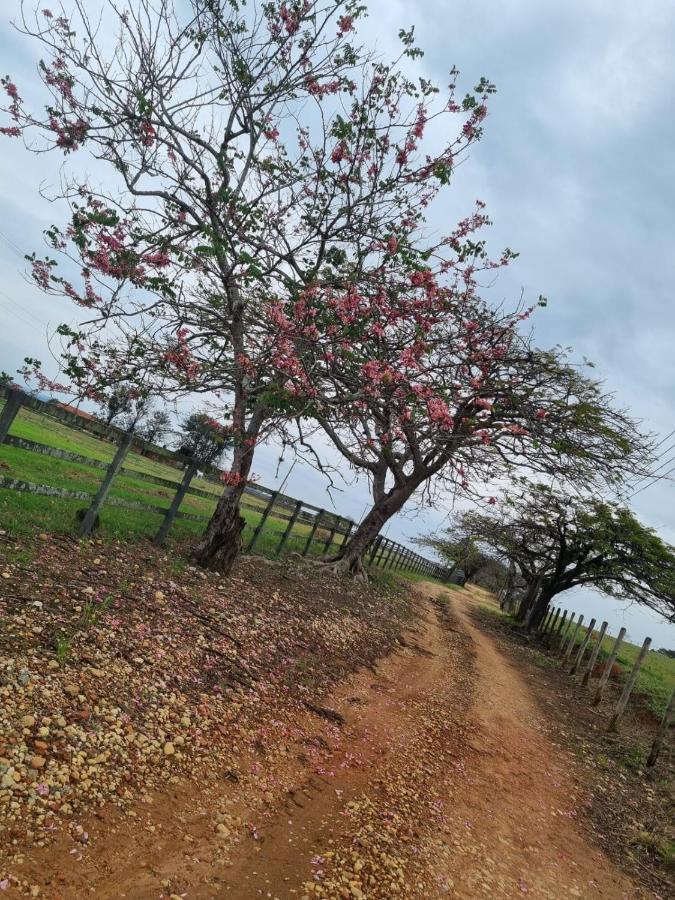 Chacara Jequitiba Villa Itu Exteriör bild